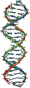 DNA Overview2.png