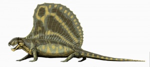 Dimetrodon gigashomog DB.jpg