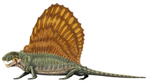 1280px-Dimetrodon grandis.jpg