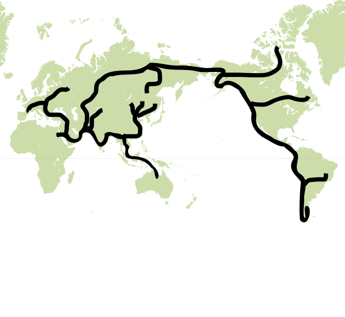 World map homo2.svg