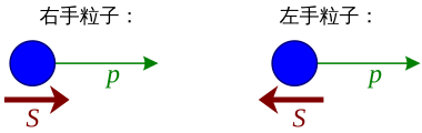 檔案:Right left helicity zh.svg